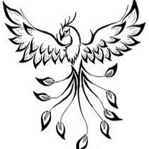 Meet your Posher, Heidi